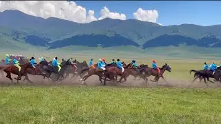 Beautiful Horse! Horses Running  #horse #horses #shorts