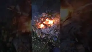 Рыбалка на чумыше