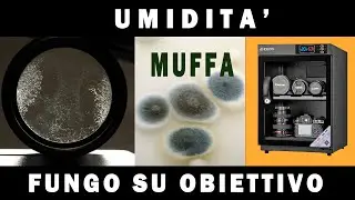 RISOLVI PER SEMPRE: MUFFA E FUNGHI SU OBIETTIVI E ATTREZZATURA - PERICOLI DELL' UMIDITA'