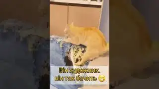 Я художник, я так бачу