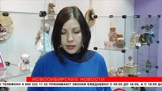 Мишек Тедди и авторских кукол собрали на выставке в Новосибирске