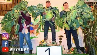 25. Offene Kohlrabi-Meisterschaft in Schöna | Wurmi´s Kohlrabifest Sächsische Schweiz | by mifofilms