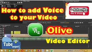 add voice to your video using olive video editor
