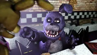 average fnaf fan
