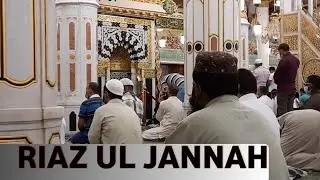 Riaz Ul Jannah Ki Ziarat | Masjid e Nabvi |
