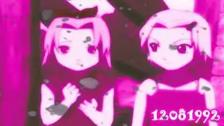 ƒℓч ѕαкυяα..εïз