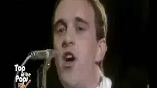 Squeeze-Cool For Cats 