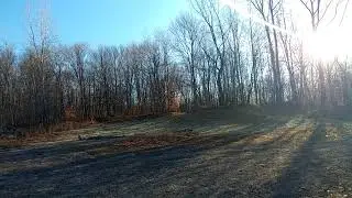 Free green screen background open wood HD footage
