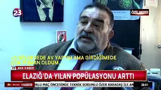 6 METRE DEĞİL 10 METRE BOYUNDA BİR YILAN DAHA