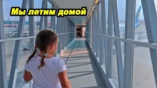 Летим домой из Египта #изоднявдень