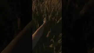 Небольшое напоминание от Вселенной 🤗❤️