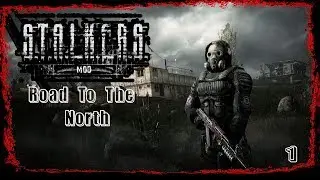 S.T.A.L.K.E.R. Дорога на Север.#01. Дед Шпуня - Охота на Скадовске.