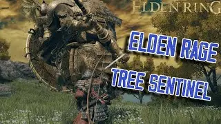 I heard Elden Ring is the Easiest Souls Game