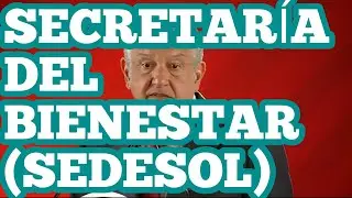 @elpumapolitico APOYOS Y REQUISITOS PARA LOS MEXICANOS EN (SEDESOL)Secretaría del bienestar