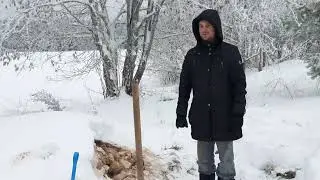 Первая помощница