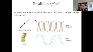 Aula 12 (parte 2) - Estímulo, anatomofisiologia e percepção da audição