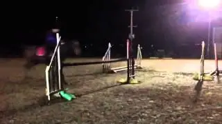 Horse falls and fails 2