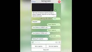 Experiment 1: Decoding Profitable Messages - Telegram Bot