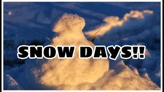 Snow days | My Lifestyle In America | Vlog #13 | Amey Pardeshi |