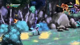 [Dust: An Elysian Tail] Hardcore Mode - 1000+ Combo Achievement