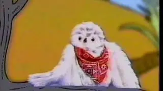 Shell Shocked