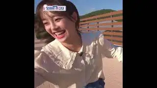 me and you both cameraman