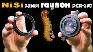 Budget Macro = Pro Results : Raynox DCR-250 & NiSi58mm STACKED for 3X Magnification