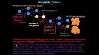110P - Neoplasia, What is Cancer? Introduction to Neoplasm