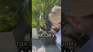 🌱ПОВИРИВАЙ БУР’ЯНИ ЗІ СВОГО МОЗКУ #мислення #силадумок #саморозвиток #мотивація