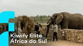 Kiwify | Kiwify Elite 2ª Edição - África do Sul