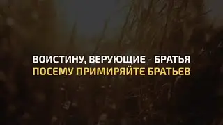 Сура 49 Al-Hujurat | Ahmed Khedr | Красивое чтение Корана