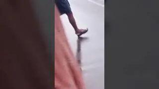 നിലമ്പൂർ ആന ഒഴുകിൽ പെട്ടു