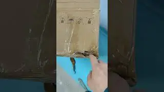 CATL 114а/ч прибыли домой