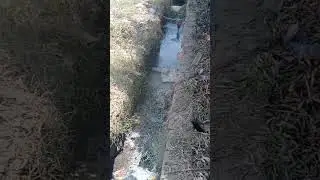 kundli nathupur?🛑