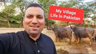 Our village in Pakistan ❤️😍 💖, Tas Qureshi Vlog