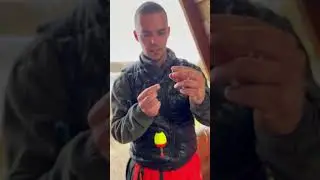 Собираем монтаж для ловли на живца 