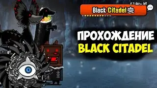 Уничтожил Black Citadel. The Battle Cats