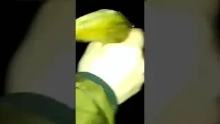 Ищем налима в малых реках Беларуси