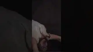 À glacer le sang, mais pourtant vrai