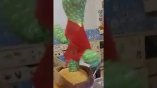 Кактус