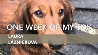 One Week of My Toy
