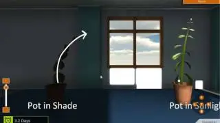 Phototropism