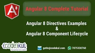 Angular 8 - Component/Directive Life Cycle