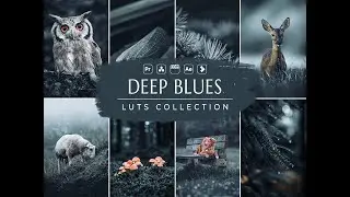 Deep Blues Video LUTs | Dark LUTs | Cinematic LUT | Influencer LUT | VN LUT | Video Preset