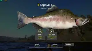 Троф. ГОРБУША. Тунгуска, троллинг.