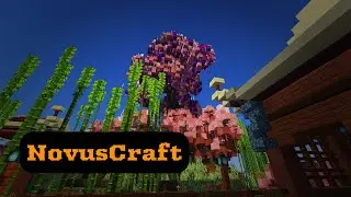 Стрим на NovusCraft