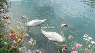 april vibes playlist 🌸 relaxing piano for reading, studying & calm focus