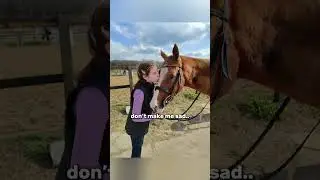 💔 #horse #pony #horseriding #equestrain #equestrianjumping #jumping #лошади #horsejumping #horse