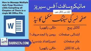 Multiple Style Page Numbers in a Single File! Learn How to do!