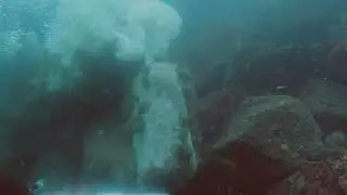 British Columbia - Ogden Point - Scuba (8/30/24)